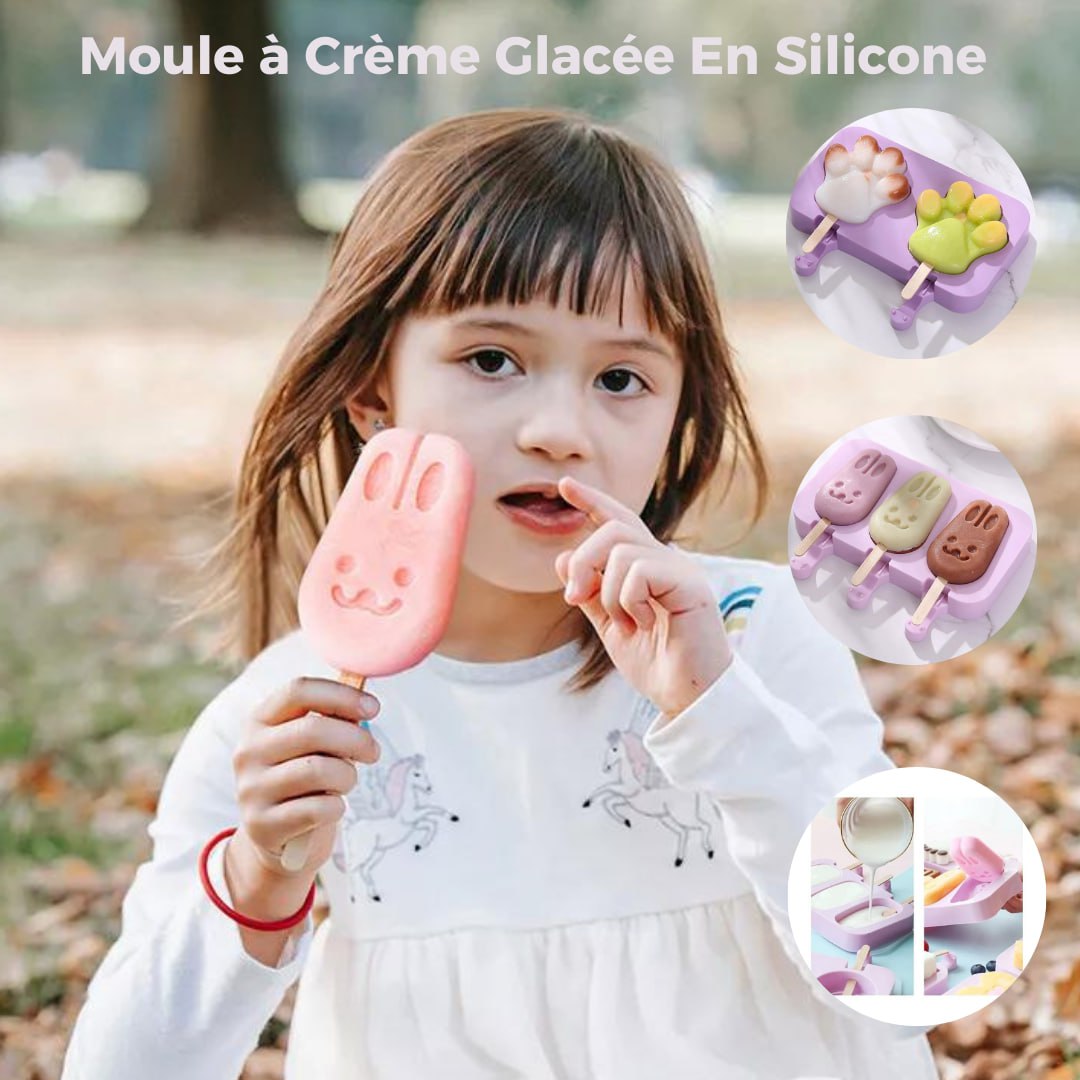 4 Moules à Crème Glacée en Silicone